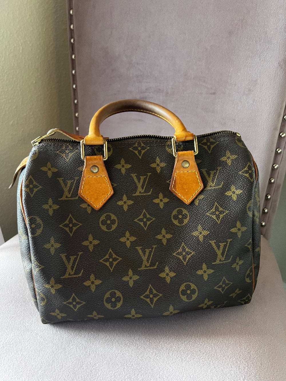 Louis Vuitton Monogram Speedy 25